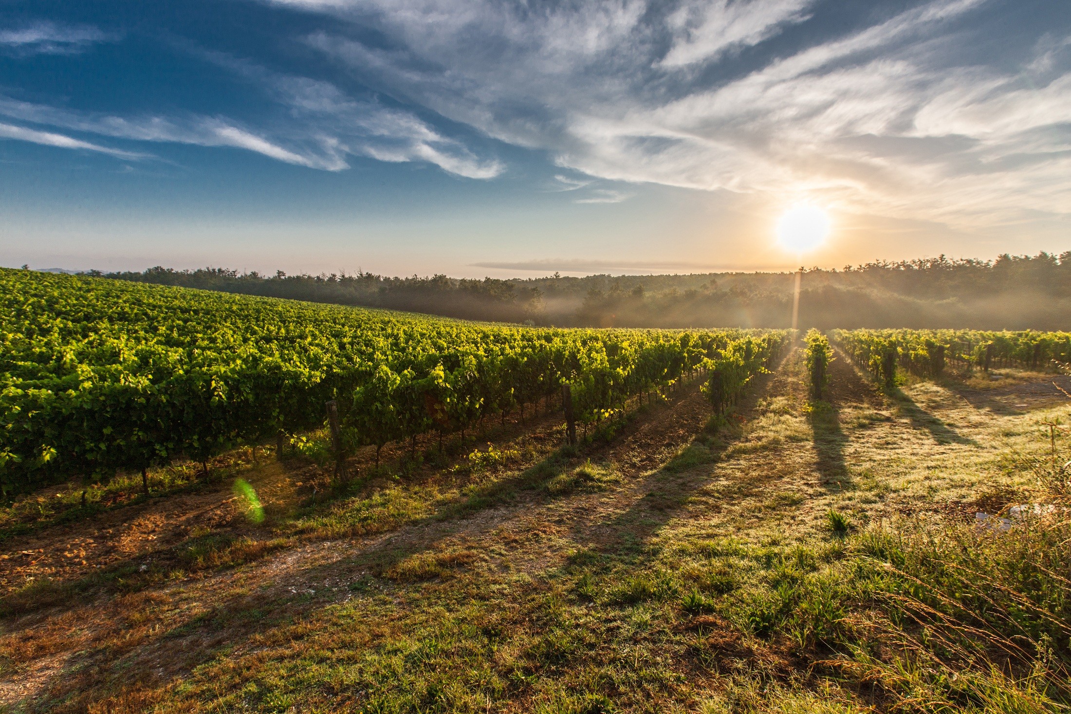 Countryside and Adventure Mallorca