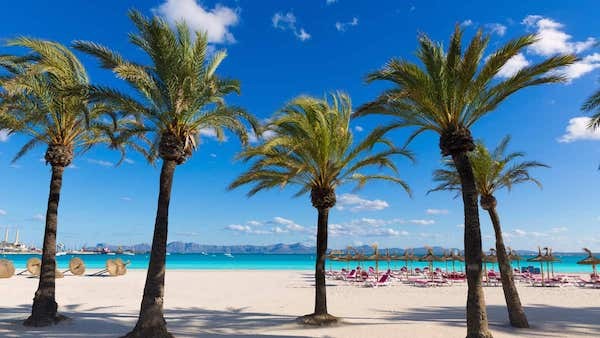 Un vistazo a <mc-brand-text>Alcudia</mc-brand-text>