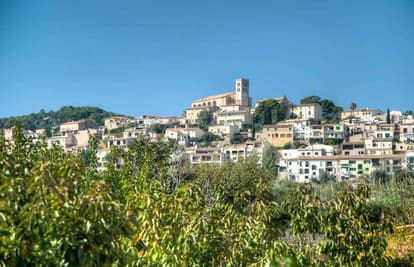 Finca Brisella in Selva