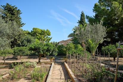 Villa Mar i Cel en Alcudia