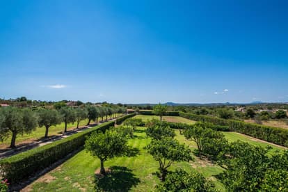 Villa Alosa in Santa Margalida