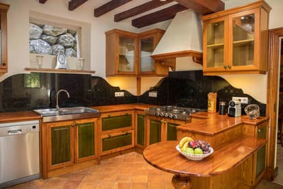 Grapevine Villa in Valldemossa