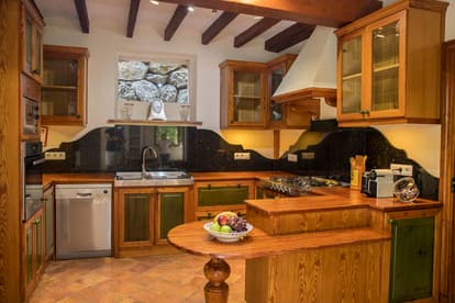 Grapevine Villa in Valldemossa
