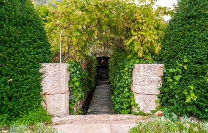 Villa Splendor in Pollensa