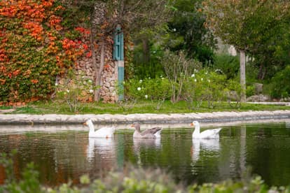 Villa Splendor in Pollensa