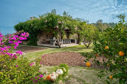 Villa Splendor in Pollensa