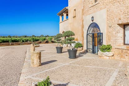 The Queen Bee Villa in Llucmajor