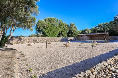 The Queen Bee Villa in Llucmajor