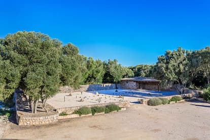 The Queen Bee Villa in Llucmajor