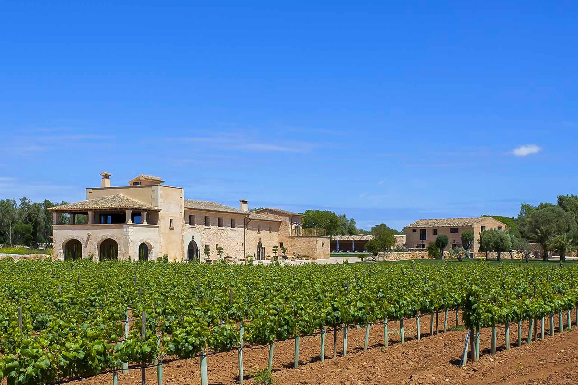 The Queen Bee Villa in Llucmajor, Holiday Villa by Mallorca Collection