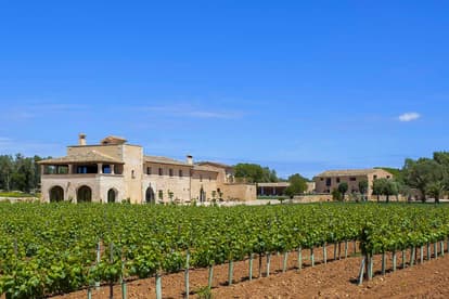 The Queen Bee Villa in Llucmajor