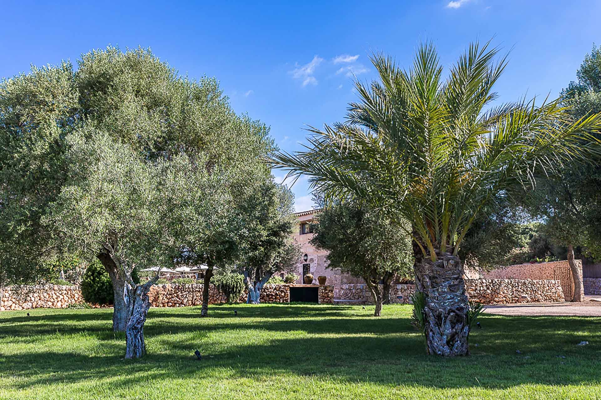 The Queen Bee Villa in Llucmajor, Holiday Villa by Mallorca Collection