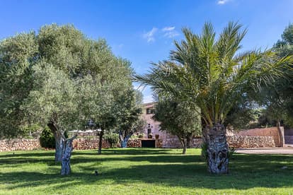 The Queen Bee Villa in Llucmajor