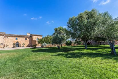 The Queen Bee Villa in Llucmajor