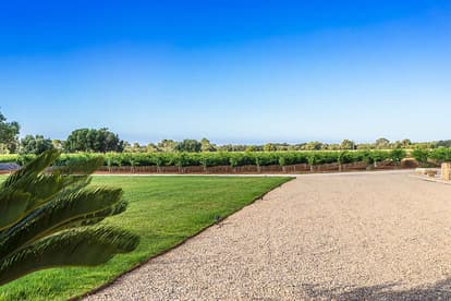 The Queen Bee Villa in Llucmajor