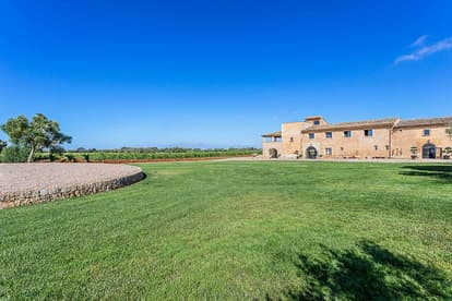 The Queen Bee Villa in Llucmajor