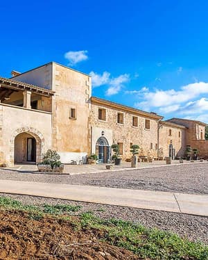 The Queen Bee Villa