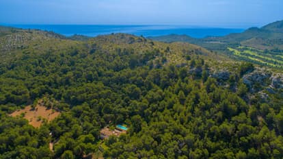 Finca Armonia  en Capdepera