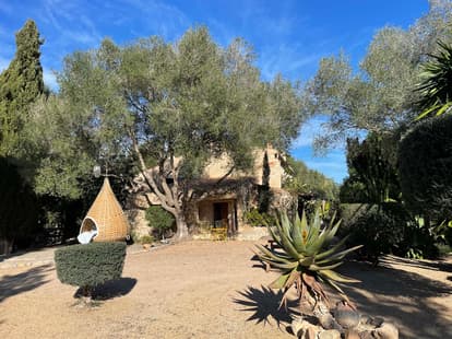 The Root House in Sant Joan