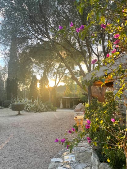 The Root House in Sant Joan