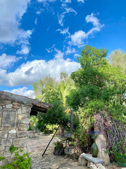 The Root House in Sant Joan