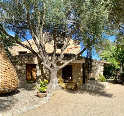 The Root House in Sant Joan