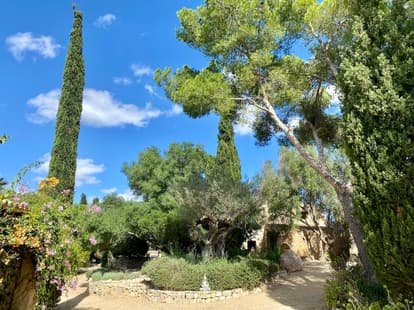 The Root House in Sant Joan