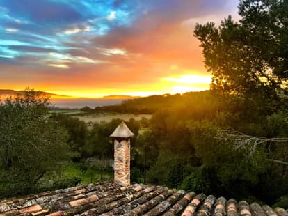 The Root House in Sant Joan