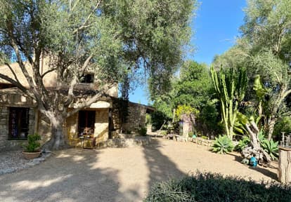 The Root House in Sant Joan