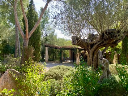 The Root House in Sant Joan