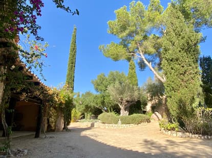 The Root House in Sant Joan