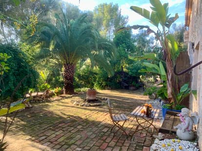 The Root House in Sant Joan