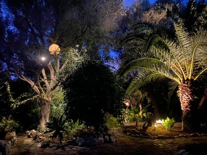 The Root House in Sant Joan