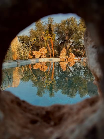 The Root House en Sant Joan