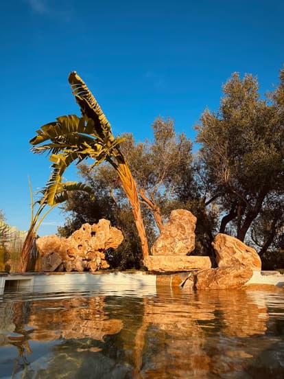 The Root House en Sant Joan