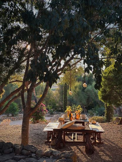 The Root House en Sant Joan