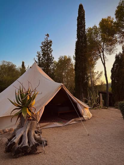 The Root House en Sant Joan