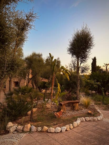 The Root House en Sant Joan