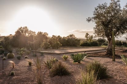 Villa Birdie in Son Gual