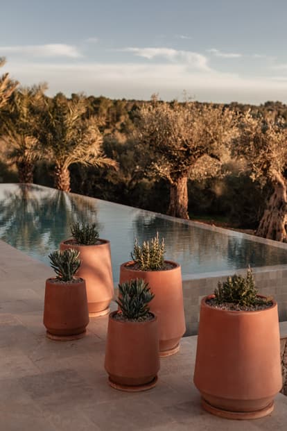 Villa Birdie in Son Gual