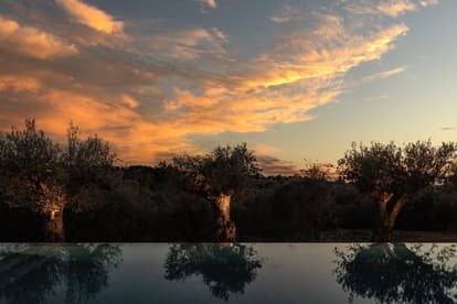 Villa Birdie in Son Gual