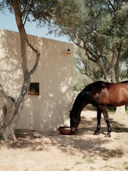 Finca Son Brisall in Algaida