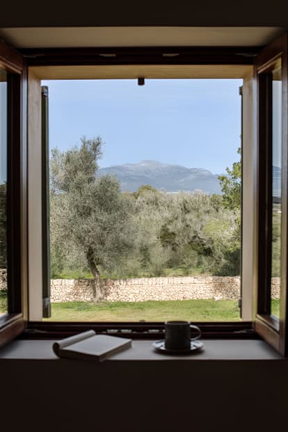 Finca Son Brisall in Algaida