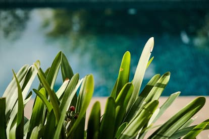 Villa Aura in Valldemossa