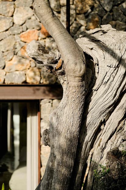 Villa Aura in Valldemossa