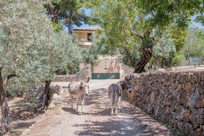 The Remote Villa en Sóller
