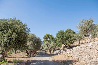 The Remote Villa en Sóller