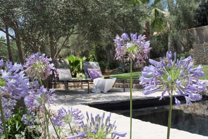 Villa Romani  en Palma