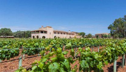 Mallorca’s Best Wine Sips